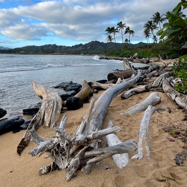 1/28/2023 tarihinde Arvin W.ziyaretçi tarafından Kauai Coast Resort at the Beachboy'de çekilen fotoğraf
