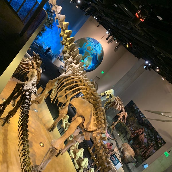 Photo taken at Perot Museum of Nature and Science by Zack K. on 9/19/2021