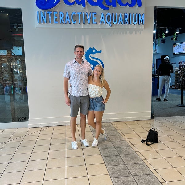 Seaquest Interactive Aquarium Aquarium