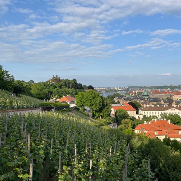 Foto scattata a Svatováclavská vinice da Taras H. il 6/2/2023