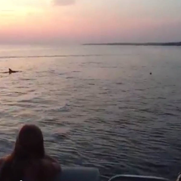 Gulf Shores Boat Rental Boat Rental