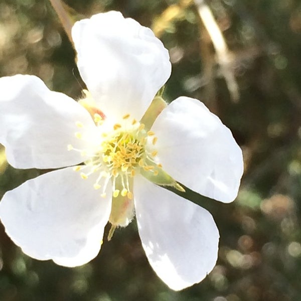 Photos at Rio Rancho, NM - 12 tips