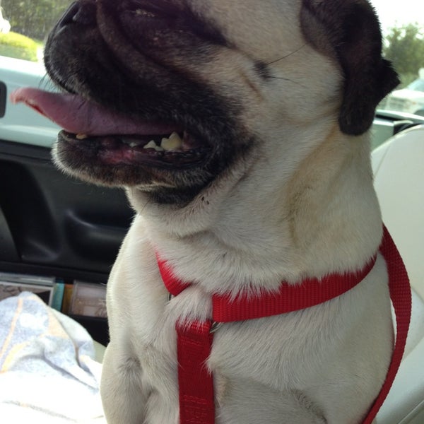 Creekside Pet Care Center 2 tips