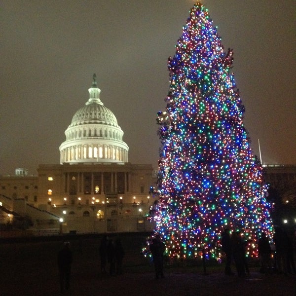 Capitol Christmas Tree Northwest Washington Constitution Ave NW