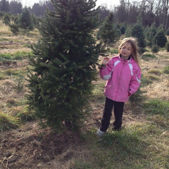 Photos At Wilbert S Tree Farm 1325 Salt Rd