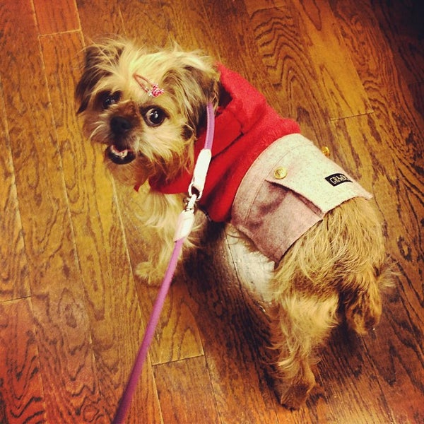 Photos At Pet Paradise ペットパラダイス 南町田グランベリーモール Now Closed 町田市 東京都