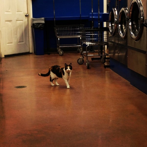 Photos at Soap Suds Coin Laundry 4211 N Main St