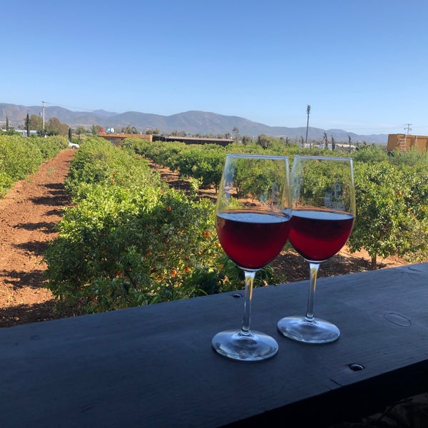 Das Foto wurde bei Vinicola Émeve - De los mejores vinos del Valle de Guadalupe von Mariana L. am 4/17/2019 aufgenommen
