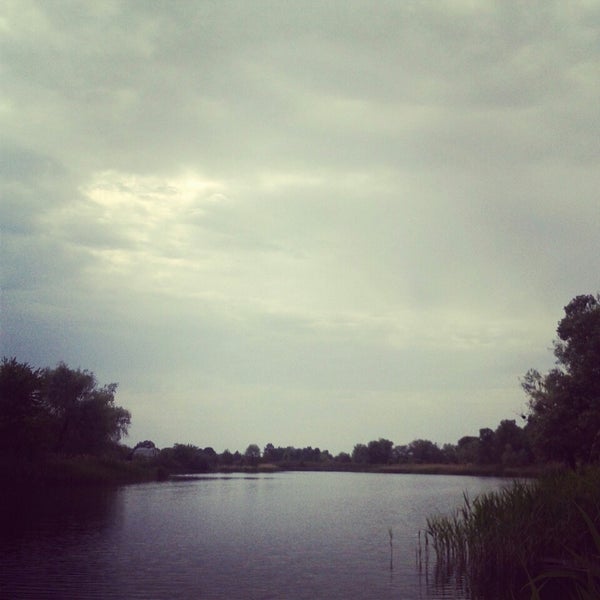 Купить Дачу В Дружбе Копейск