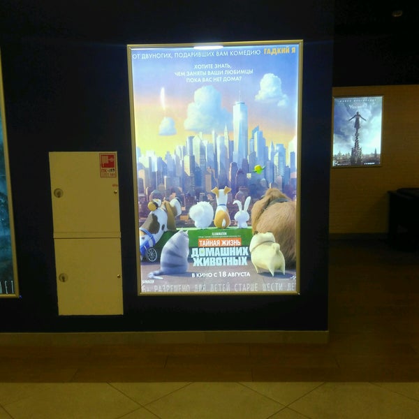 кинотеатр в жулебино расписание
