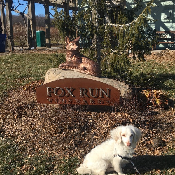 Photo taken at Fox Run Vineyards by Eunice H. on 2/19/2017