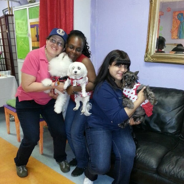 Photos At Max Tamara S 75th And Paws Pet Store In Upper East Side