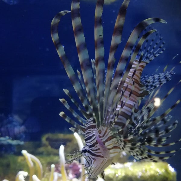 Photo taken at Aquarium Cancun by Evelyn R. on 1/12/2019