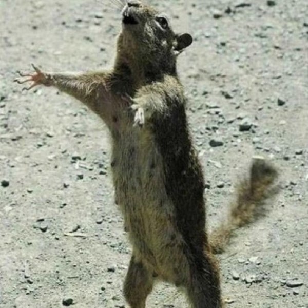 Врываемся в выходные картинки