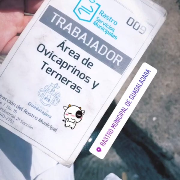 telefono rastro municipal guadalajara