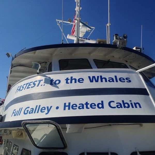 Foto scattata a Cape Ann Whale Watch da Travis J. W. il 6/20/2014