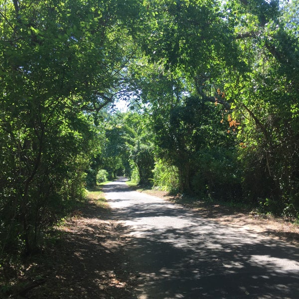 Bethpage State Park Bike Trail Bike Trail in Bethpage