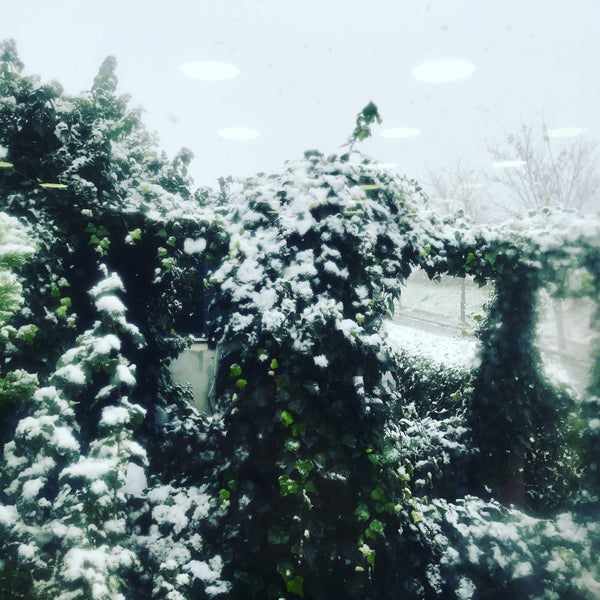 12/12/2018にGreengarden Y.がGreen Garden Cafe &amp; Restaurant &amp; Nargileで撮った写真