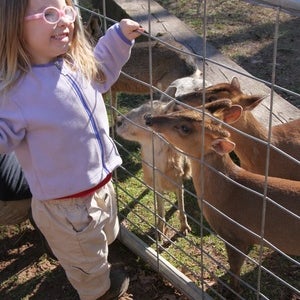 รูปภาพถ่ายที่ North Georgia Zoo &amp; Farm/ Wildlife Wonders- Zoo To You โดย Hope B. เมื่อ 11/24/2014