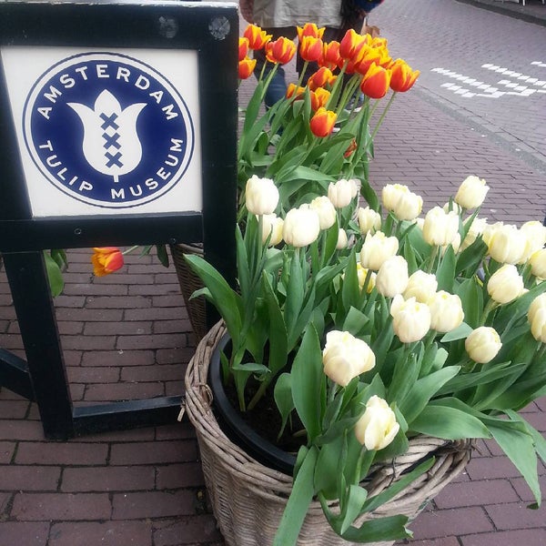 Photo taken at Amsterdam Tulip Museum by Chao on 8/18/2015