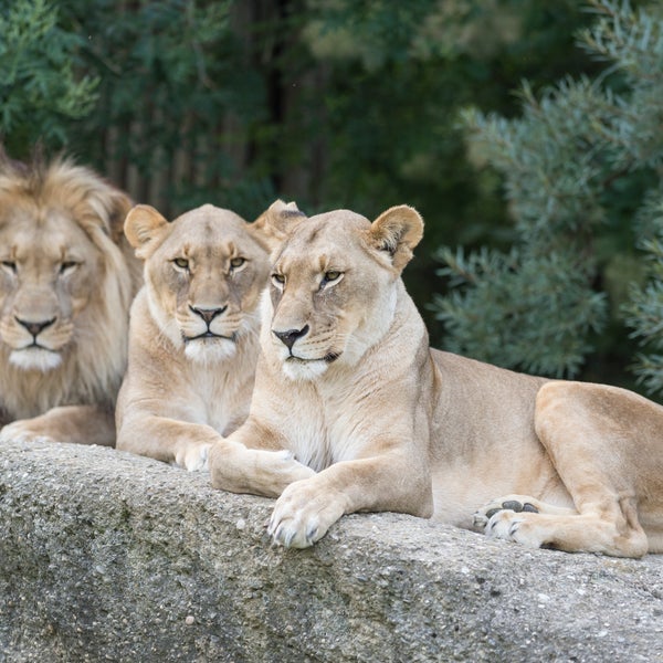 Foto tomada en Zoológico de Basilea  por Zoo Basel el 1/22/2014