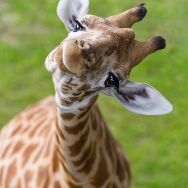 Foto tomada en Zoológico de Basilea  por Zoo Basel el 1/22/2014