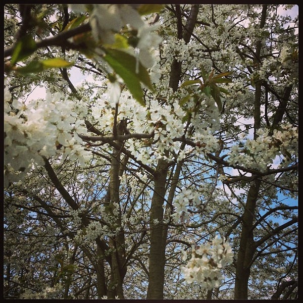 Feltham Park Harlington Road West