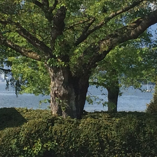 5/13/2015 tarihinde Sahar S.ziyaretçi tarafından Local Kitsilano'de çekilen fotoğraf