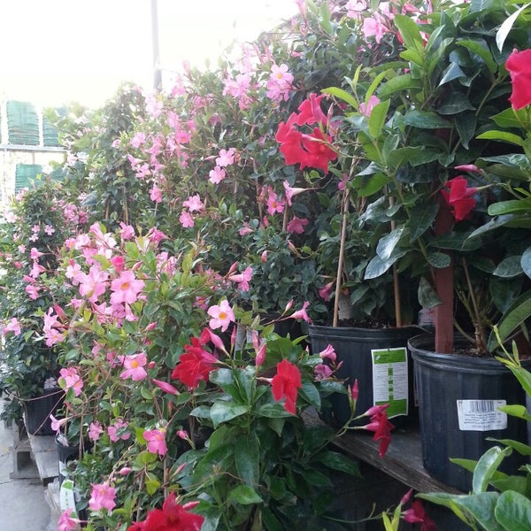 Photos at The Home Depot Hardware Store in Indianapolis