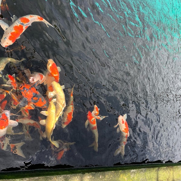 Mainland Tropical Fish Farm Pasir Ris 1 Pasir Ris Farmway 1