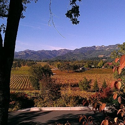 รูปภาพถ่ายที่ Trinchero Napa Valley โดย Emily S. เมื่อ 11/3/2012