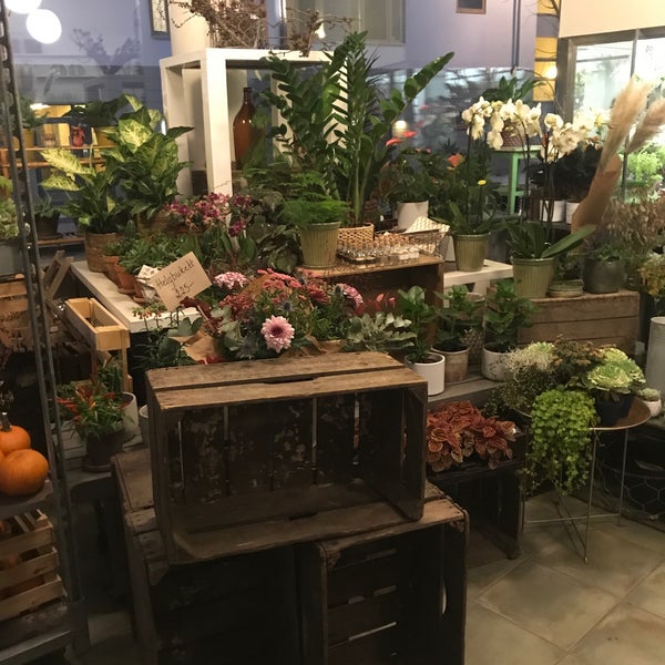 kaprifol blommor hornsgatan