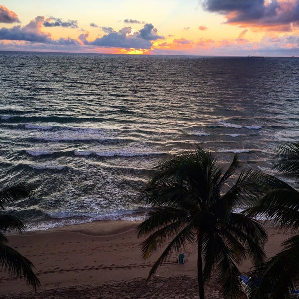 11/2/2015にNicole C.がPelican Grand Beach Resort &amp; Spaで撮った写真