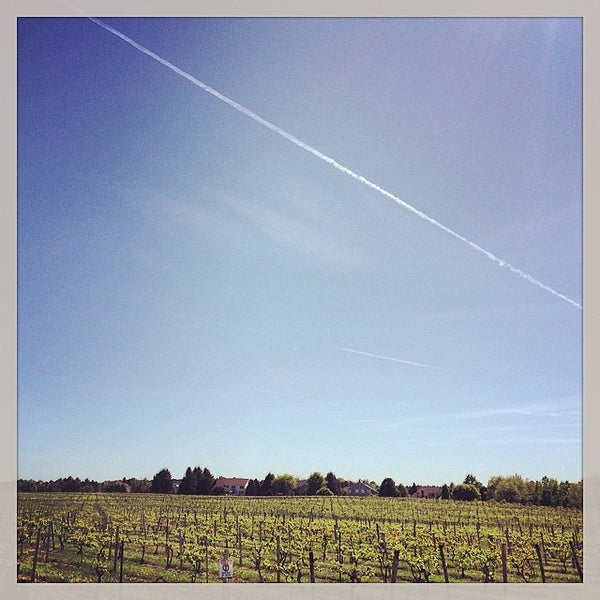 Das Foto wurde bei Casa Larga Vineyards &amp; Winery von T.C. P. am 5/31/2014 aufgenommen