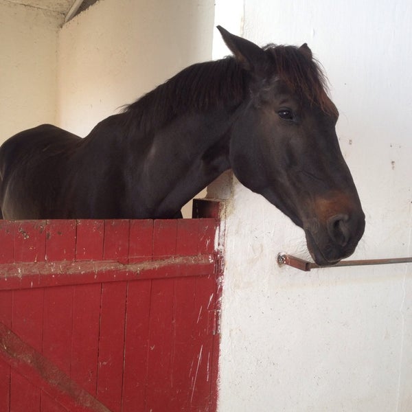 Photo taken at Antalya Horse Club by Özge Ö. on 11/2/2014