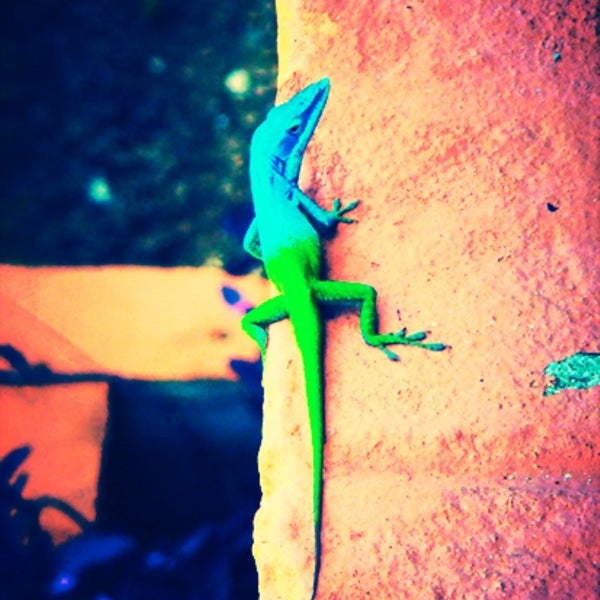 Lansing Fish Market Seafood Restaurant In Southside