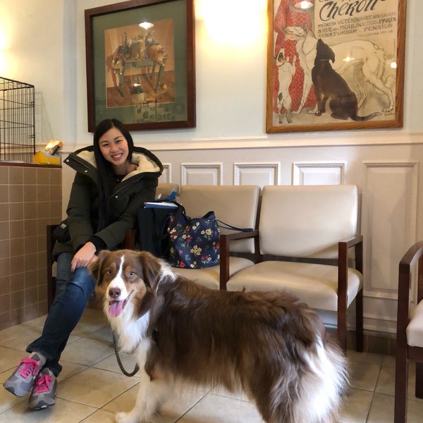 Prospect Park Animal Clinic Veterinarian in Brooklyn
