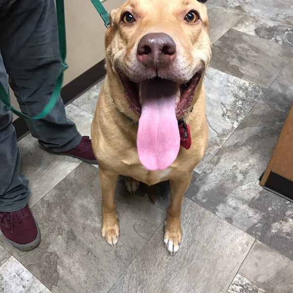 Sioux Nation Pet Clinic Pet Service in Sioux Falls