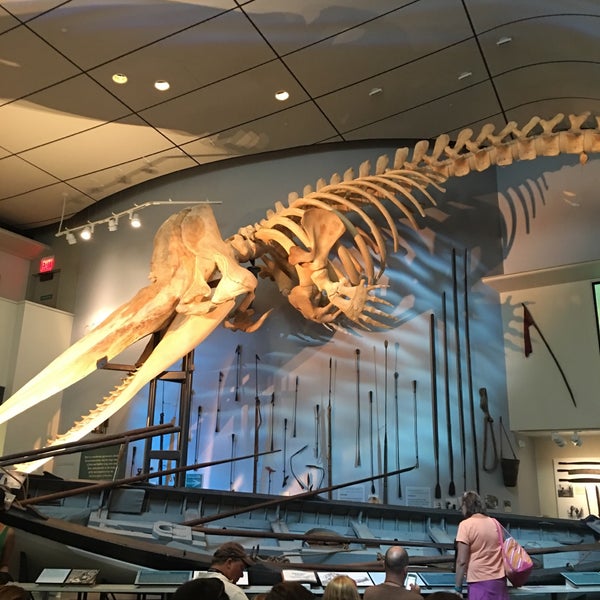8/19/2016 tarihinde Tom O.ziyaretçi tarafından The Whaling Museum'de çekilen fotoğraf