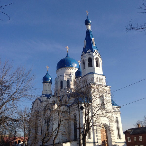 Покровский собор Воронеж зима