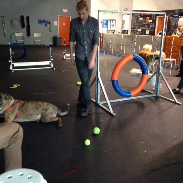 Zoom Room Dog Training Artik Kapali 726 N La Brea Ave Da