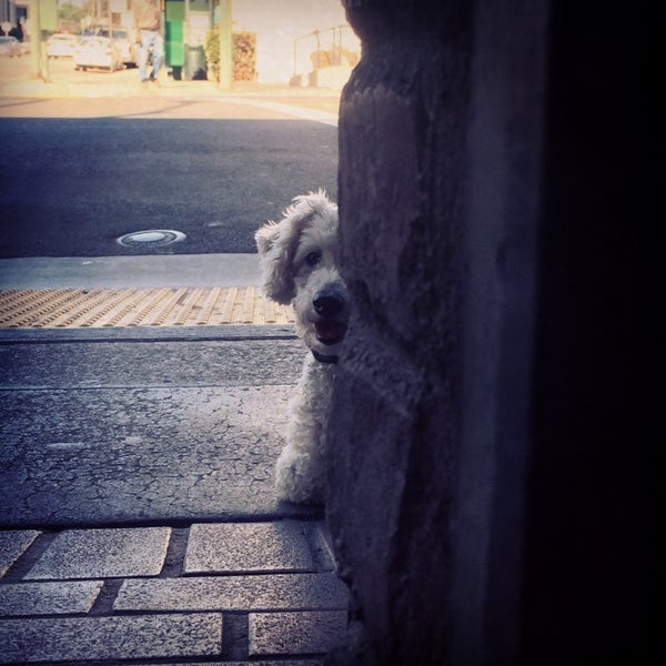 Kerry House Raj Indian Cuisine Piedmont Avenue Oakland, CA