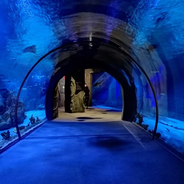 Photo taken at Funtastic Aquarium İzmir by Şeyma Y. on 11/27/2022