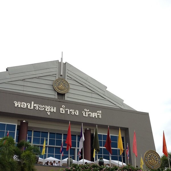 My Image 19