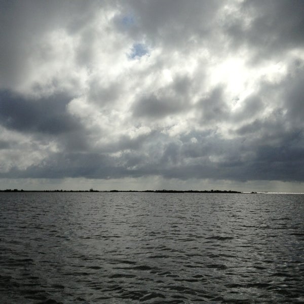 Финский залив соленая вода