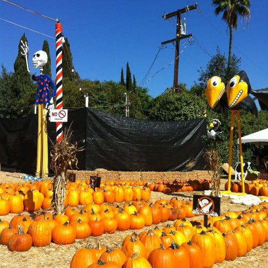 10/19/2012 tarihinde Susan T.ziyaretçi tarafından Mr. Bones Pumpkin Patch'de çekilen fotoğraf