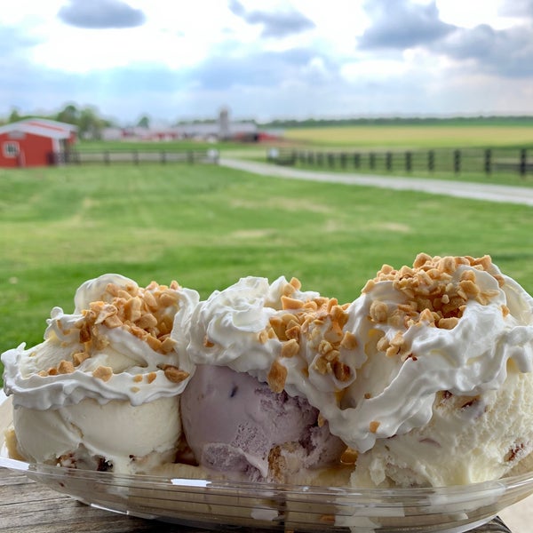 Chaney's Dairy Barn 18 tips from 450 visitors