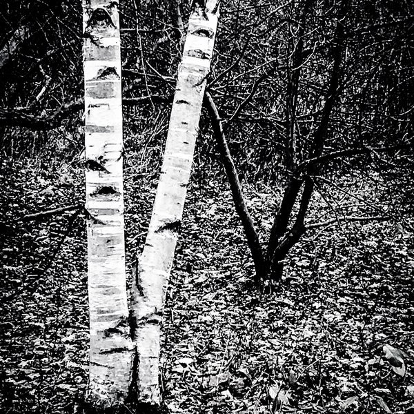 Cold Spring Park Newton Highlands Beacon st