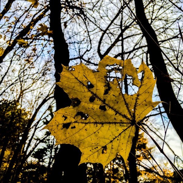 Cold Spring Park Newton Highlands Beacon st