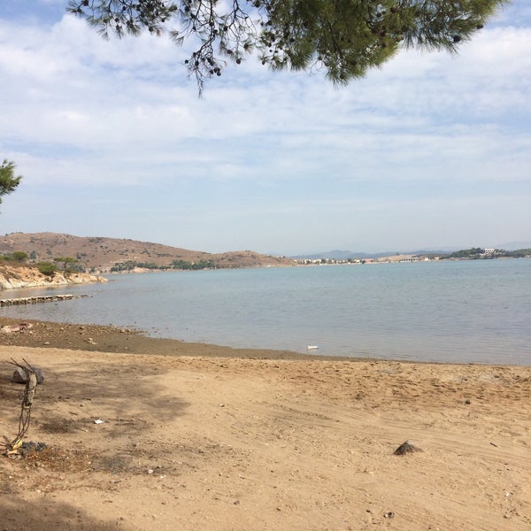 Dipkarpaz Altinkum